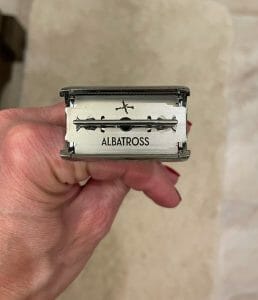 albatross