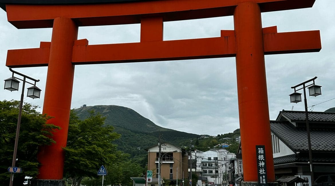 Torii Gate in Town