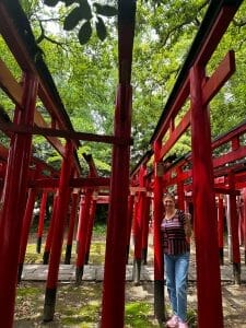 Torii gates in an older park