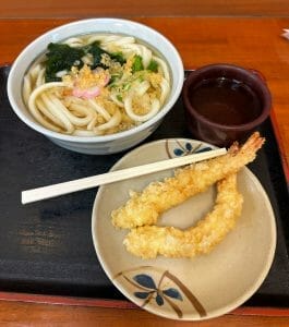 udon soup